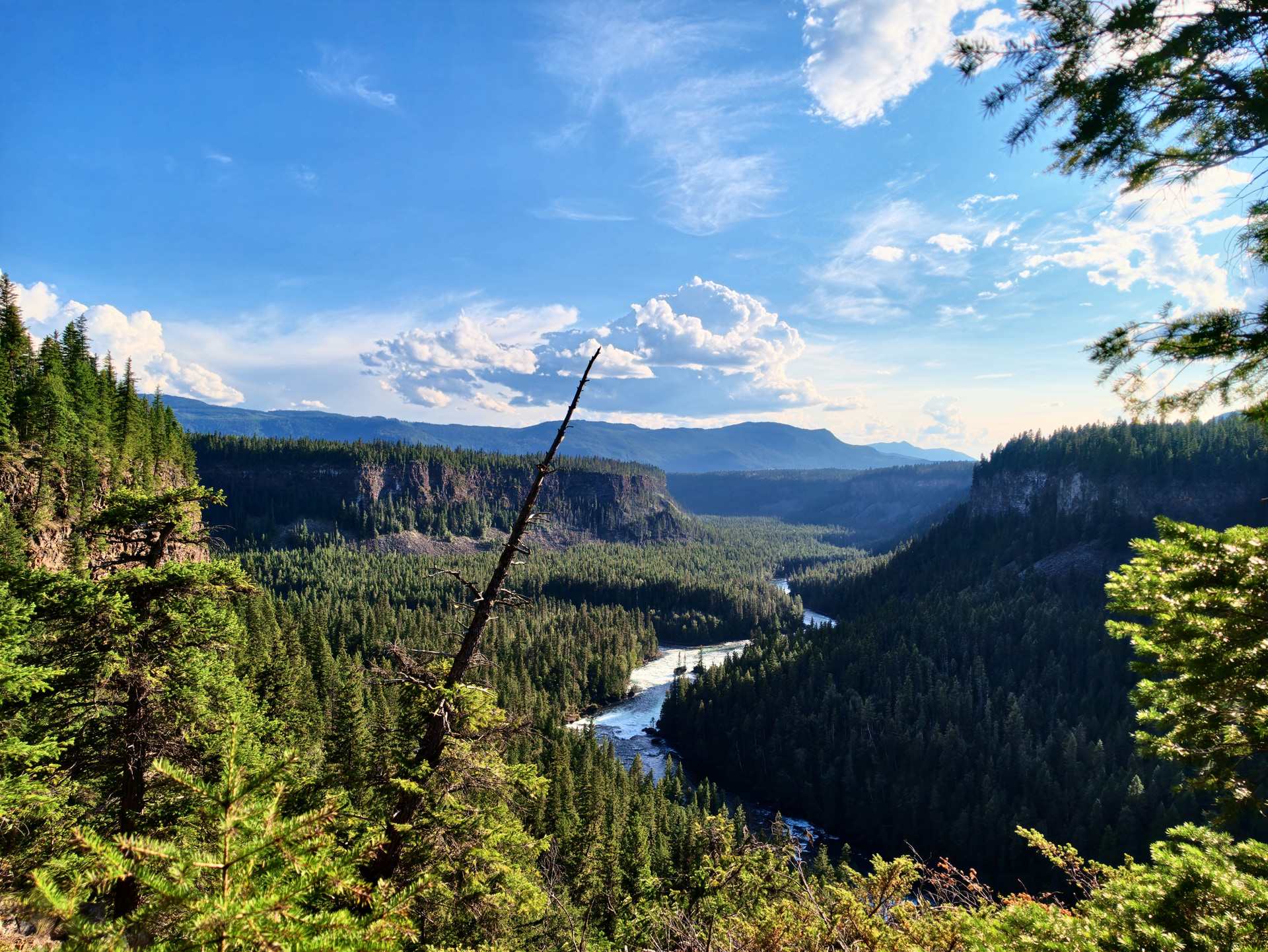 Blick vom Gatling Gorge Trail über einen bewaldeten Canyon mit Fluss und großen weißen Wolken