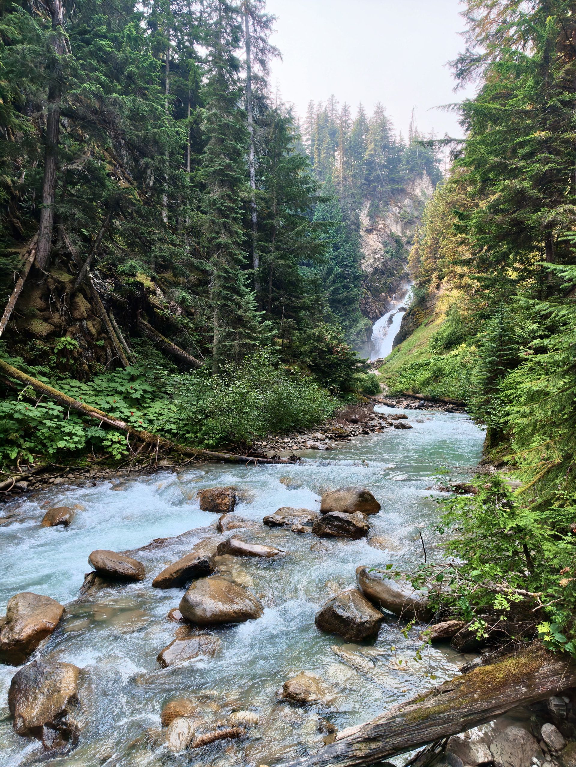 Bear Creek Falls rauscht durch eine enge Schlucht im dichten Wald