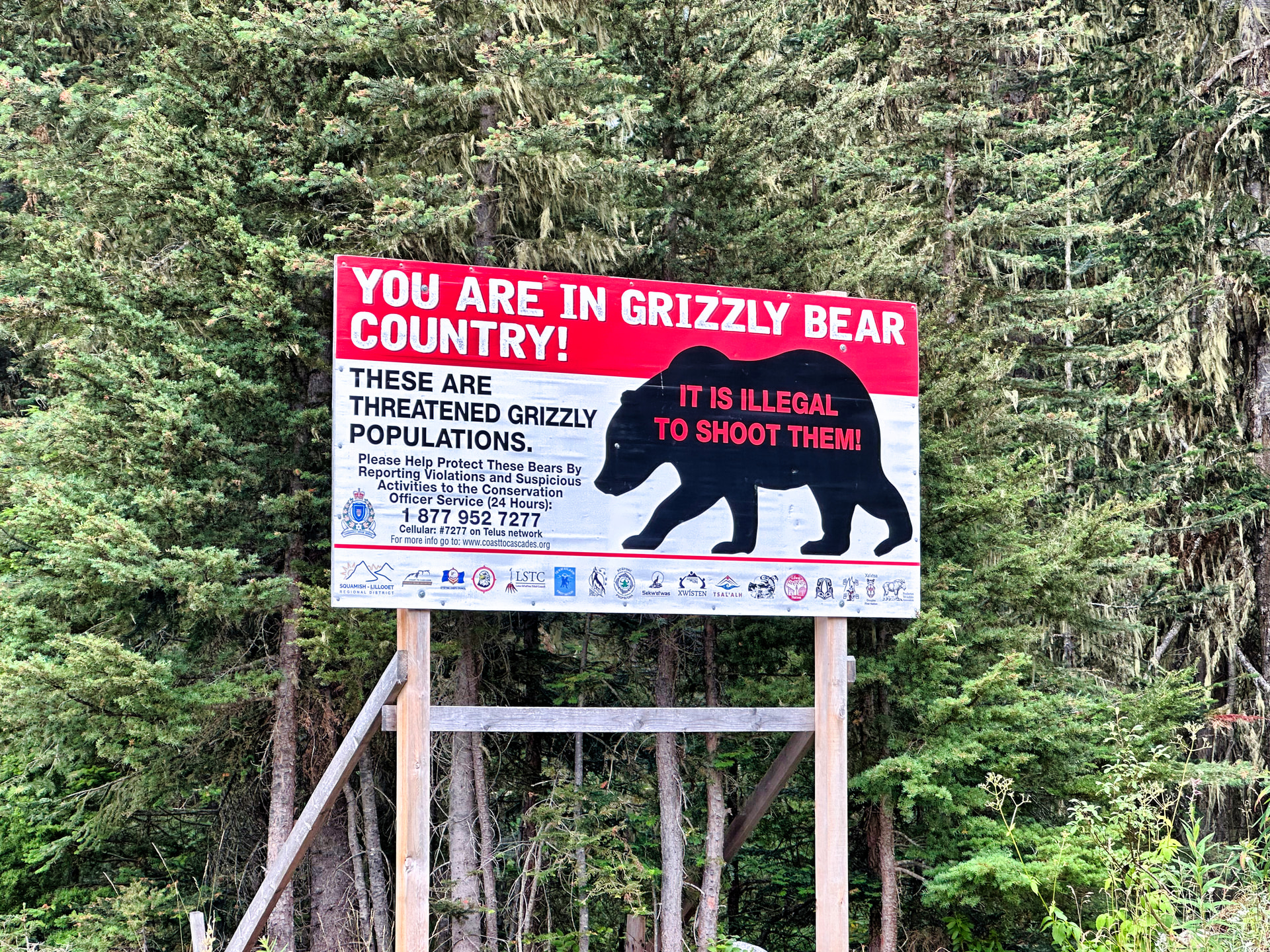 Rot-weißes Warnschild mit Bärensilhouette im Wald an der Duffey Lake Road